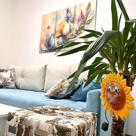M Apartman Φότσα Εξωτερικό φωτογραφία